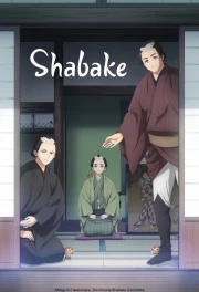 Shabake